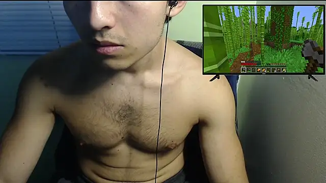 the1invisibleboyn Webbikameraesitys