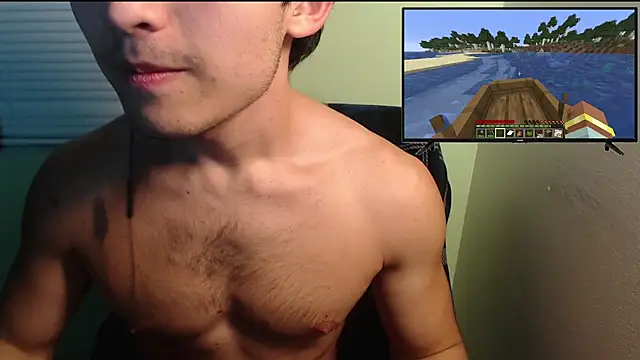 the1invisibleboy's Webcam Show