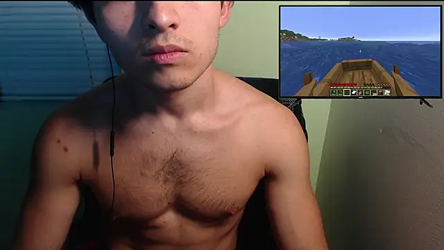 the1invisibleboy Webcam-Show