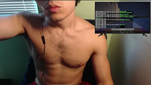 Show de webcam de the1invisibleboy