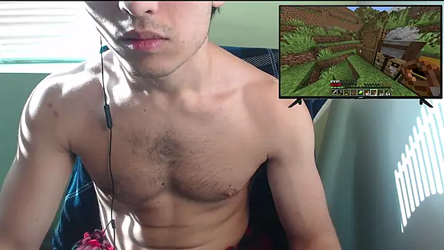 the1invisibleboyn Webbikameraesitys