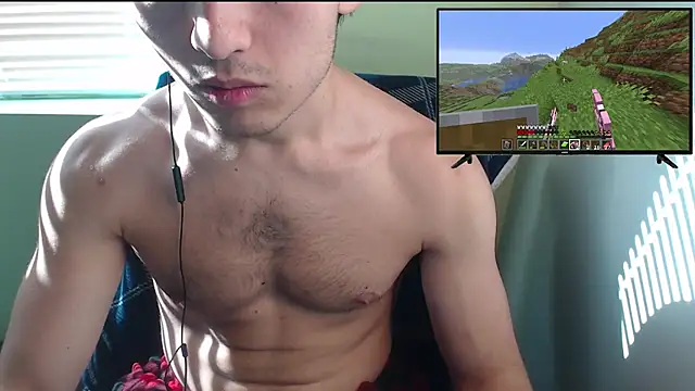 Show webcam de the1invisibleboy