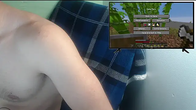 the1invisibleboyn Webbikameraesitys