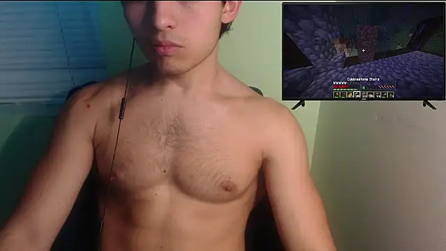 the1invisibleboy Webcamshow
