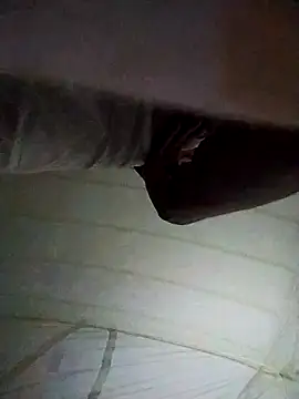 Si_Habibn Webbikameraesitys