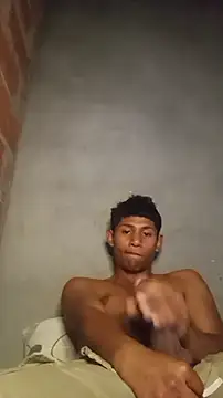 torojichan Webbikameraesitys