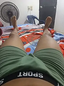 VERGON1710 Webcam-Show
