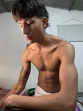 Show webcam de Tyler1999