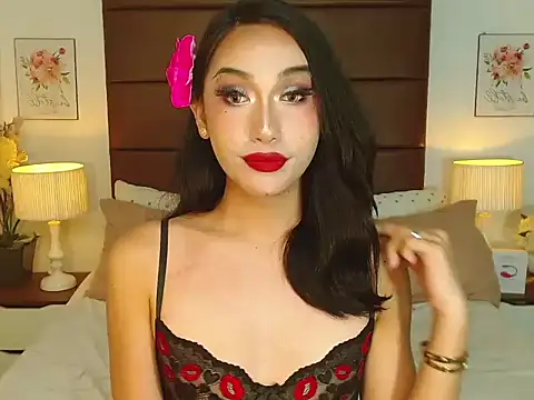 JanelaFox 网络视讯表演