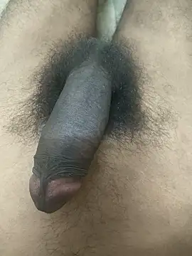 Abhi40x 网络视讯表演