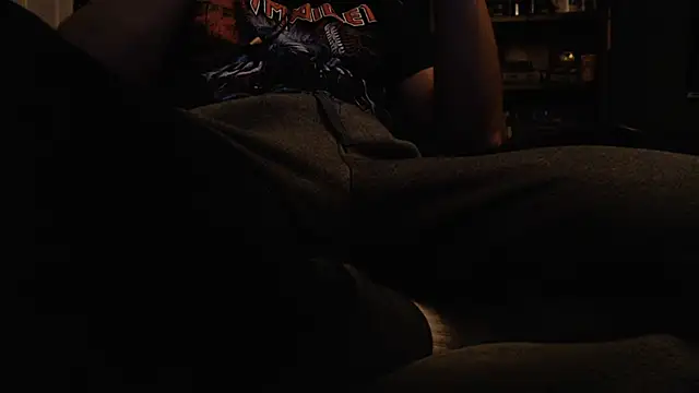Show webcam de randomguymtl