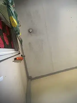 hotdogPHのウェブカメラショー