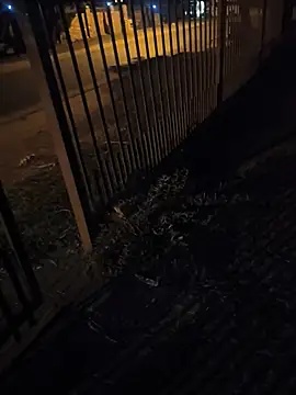 Homeless_hunter 在線直播表演