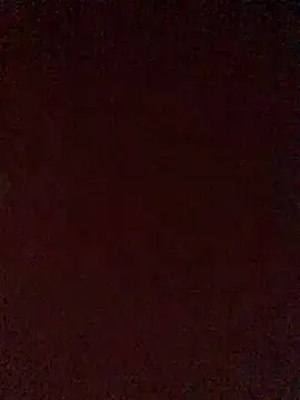 Show de webcam de cloudpush599