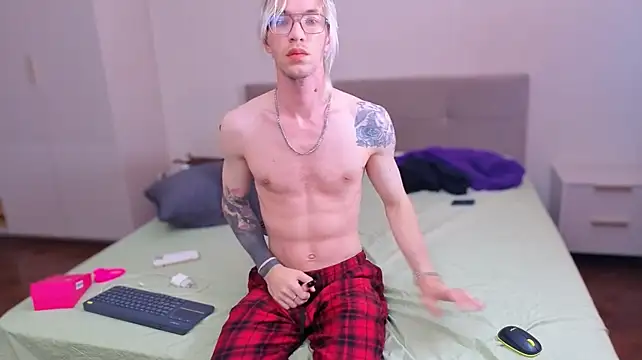 FelixMod webcam show