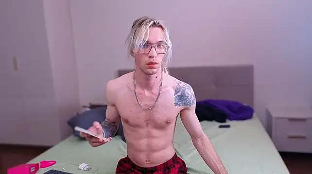 FelixMod webcam show