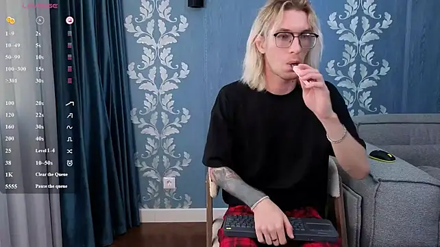 FelixMod Webcam-Show