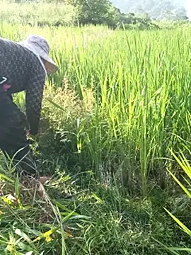 Huong-thao 现场XXX聊天