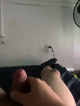 Show webcam de 3toy___