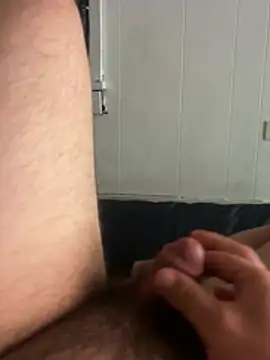 3toy___n Webbikameraesitys