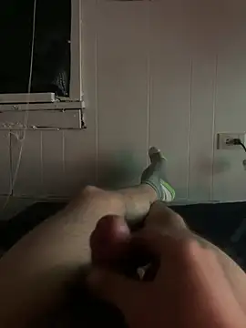 3toy___ Webcamshow