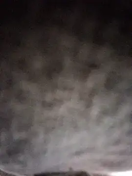 KingGrizz Webcamshow