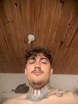 Show de webcam de picasso_25CM