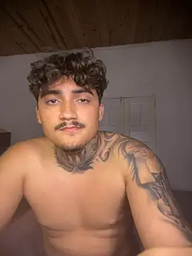 picasso_25CM webcam show