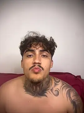 picasso_25CM webcam show