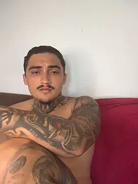 Show de picasso_25CM na webcam