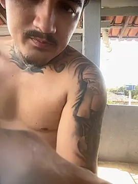 Show de webcam de picasso_25CM
