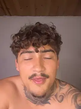Show de webcam de picasso_25CM