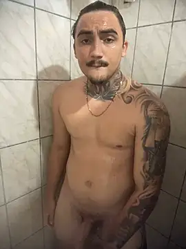 Show de webcam de picasso_25CM