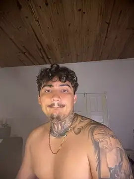 picasso_25CMn Webbikameraesitys