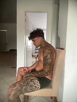 picasso_25CM Webcam-Show