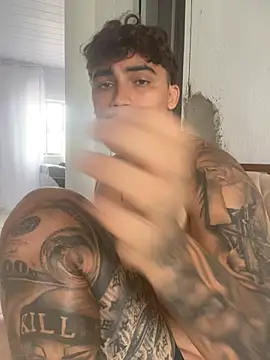 picasso_25CM Webcam-Show