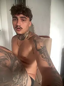 Show de webcam de picasso_25CM