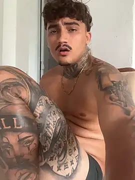 picasso_25CM Webcam-Show