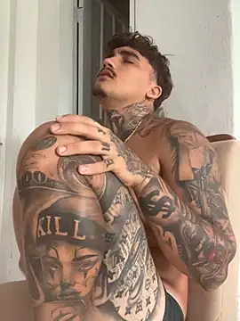picasso_25CM Webcam-Show