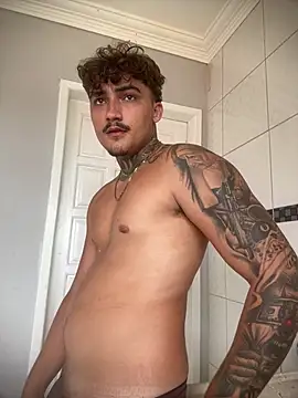picasso_25CM Webcam-Show