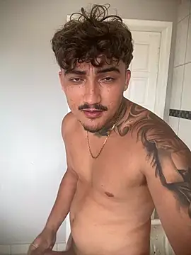 picasso_25CM Webcam-Show