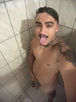 Show de webcam de picasso_25CM