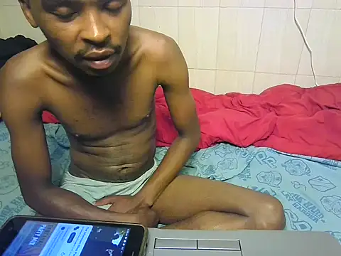 Tellyboysn Webbikameraesitys