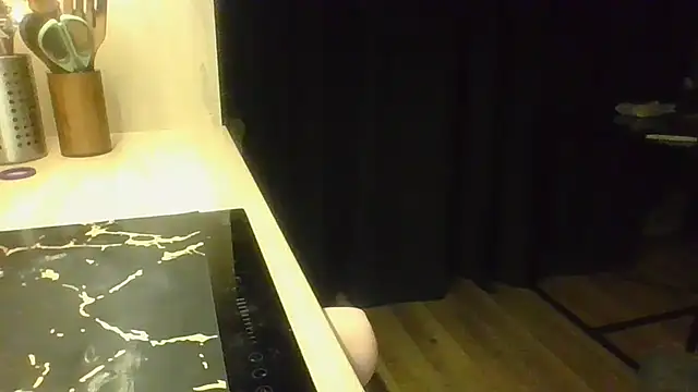 Mit9_NSKn Webbikameraesitys