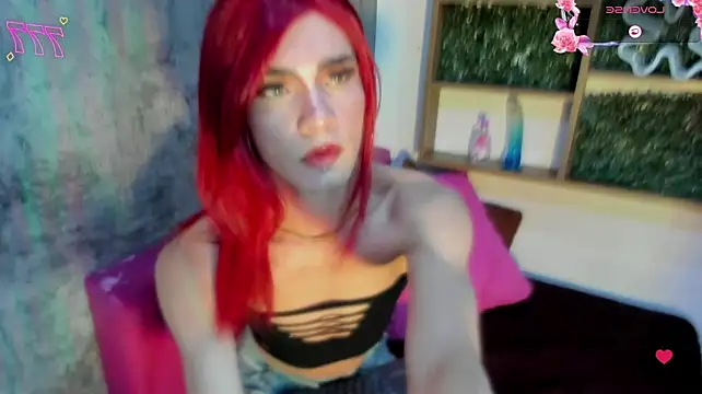 baby_dashell – webcam-show