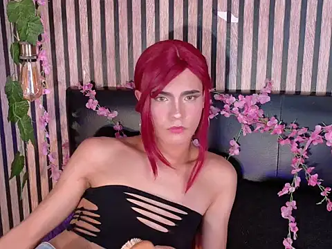 baby_dashell Webcam-Show