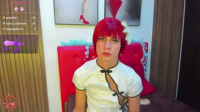 Show webcam de baby_dashell