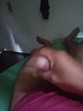 Show de Motanho na webcam