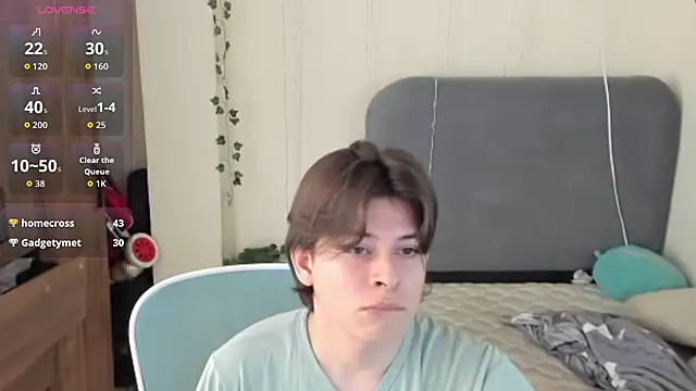 FelixSoft Webcam-Show