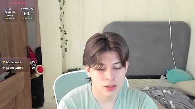 FelixSoft Webcam Show